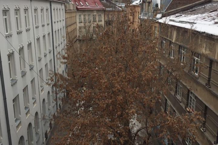 View from room