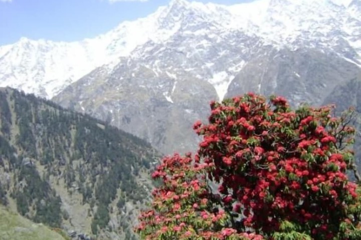 Mountain view