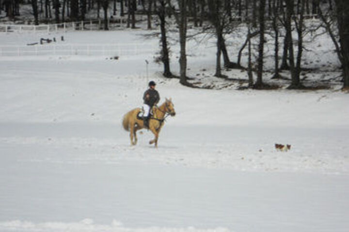 Property Grounds 34 of 49