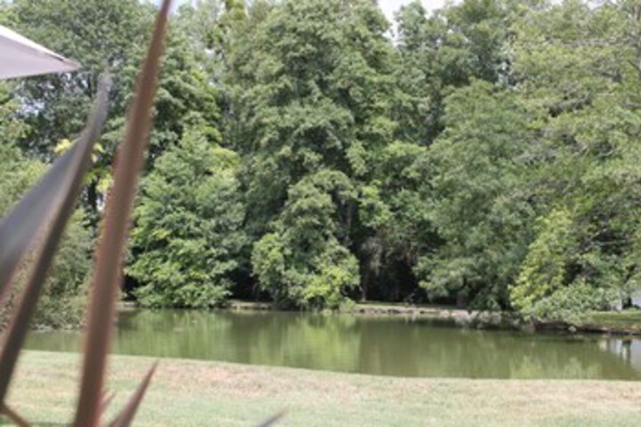 Property Grounds 11 of 24