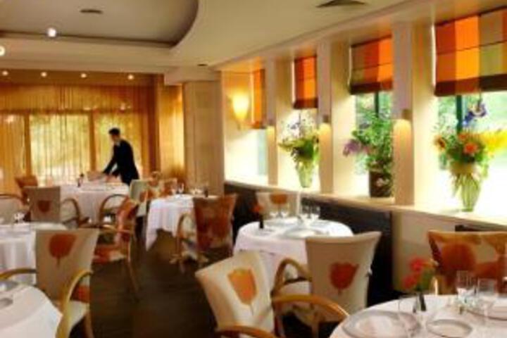 Dining 8 of 23
