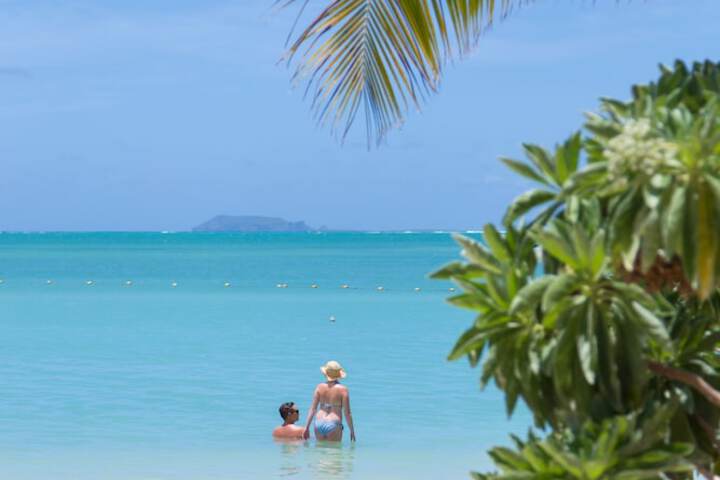 Beach 130 of 157
