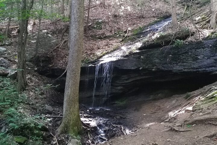 Hiking