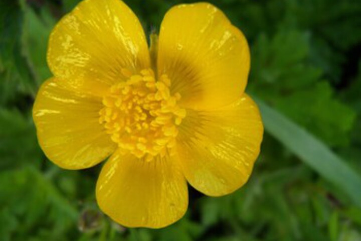 Fitness Center Photo