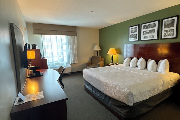 1 King Bed (19 of 22)