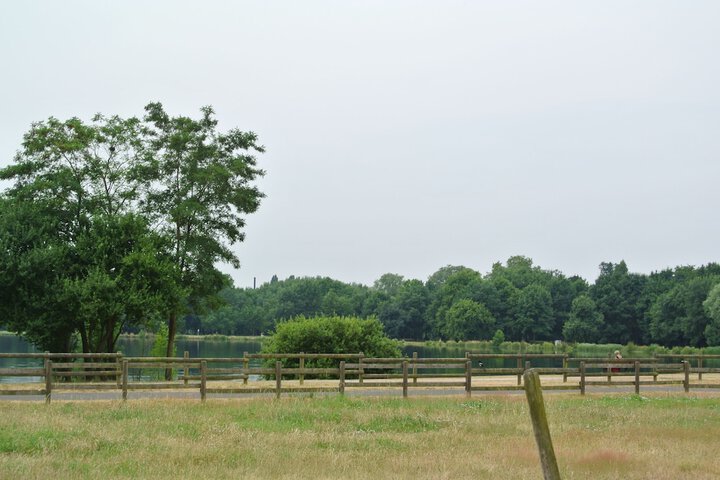 Property Grounds 39 of 46