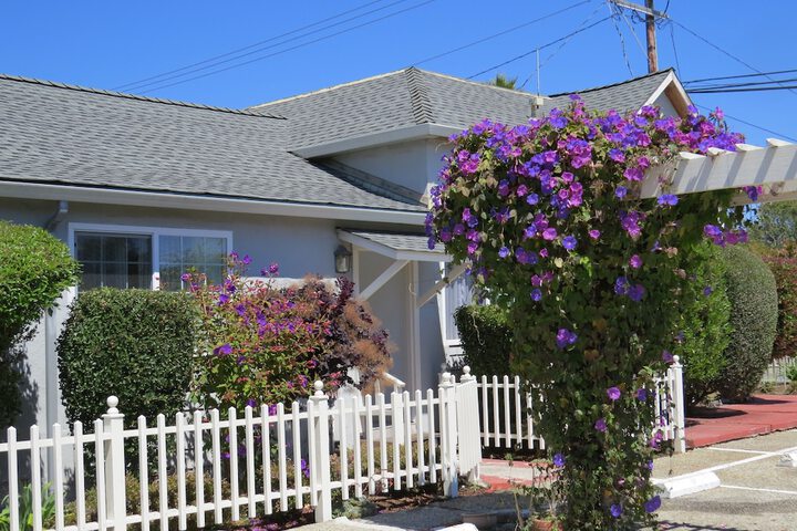 Property Grounds 22 of 31