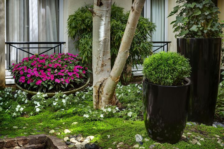 Courtyard