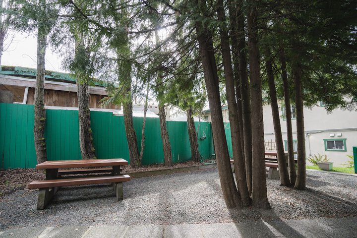 BBQ/picnic area