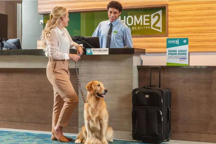 Pet-friendly