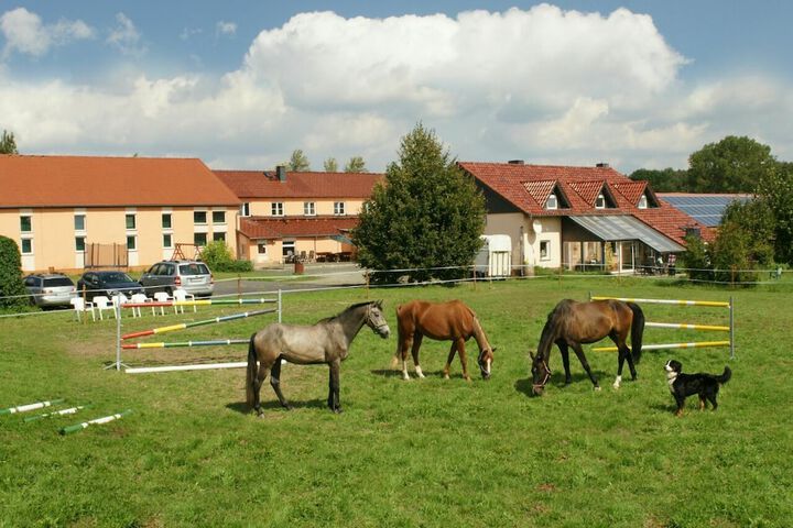 Horseback riding
