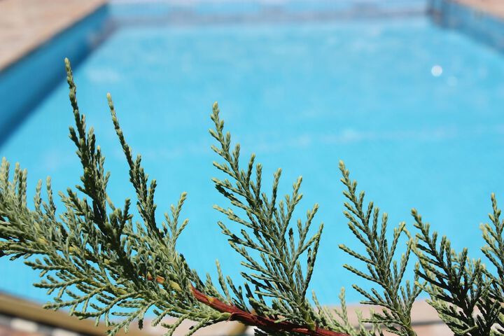 Pool 16 of 35