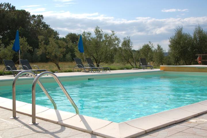 Pool 13 of 53