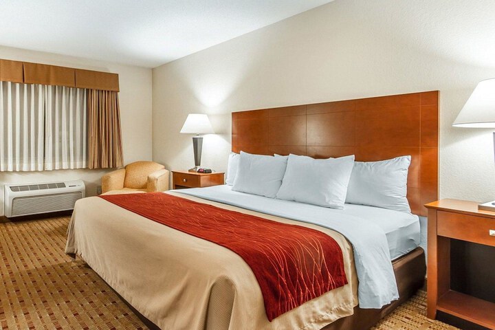 1 King Bed (3 of 14)
