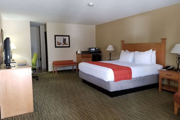 Room 19 of 44