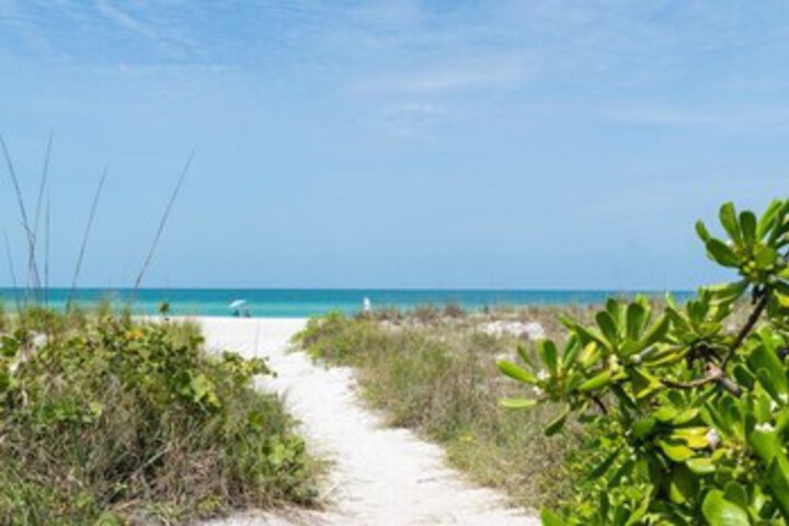 Beach 7 of 36