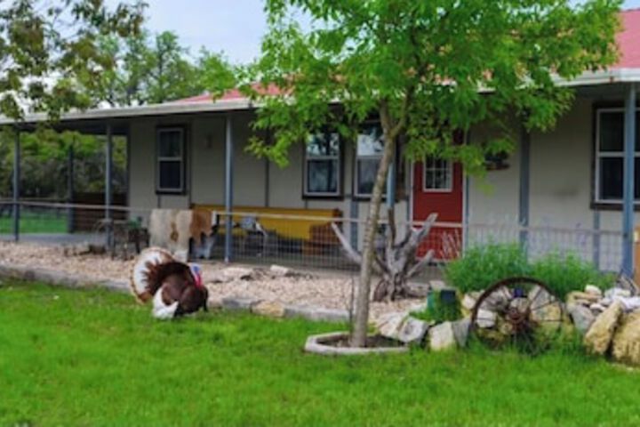 Hotel View 448 of 459