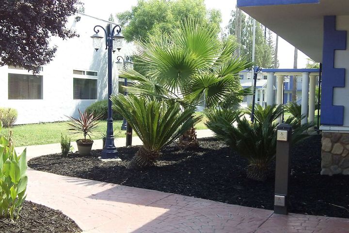 Courtyard