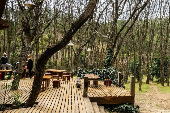 Terrace/Patio 16 of 31