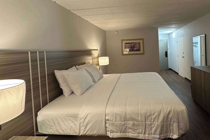 1 King Bed (3 of 5)