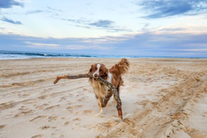 Beach 274 of 279