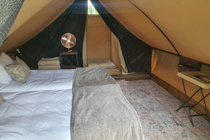 Room 2 of 40
