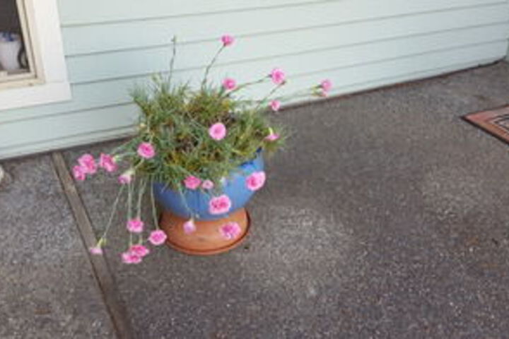 Property Grounds 102 of 126