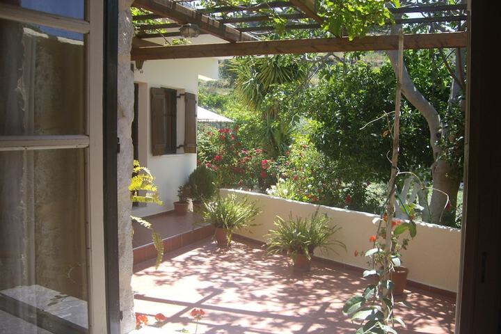 Terrace/Patio 13 of 41