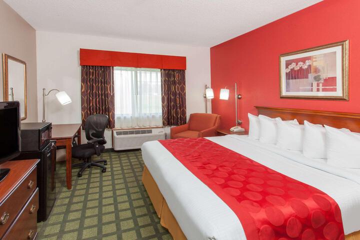 1 King Bed (22 of 26)
