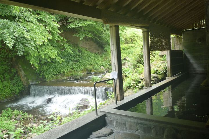 Wellness Treatments