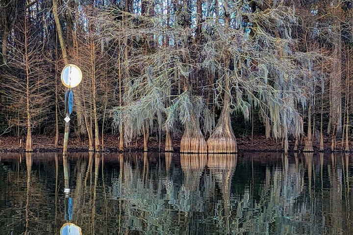 Property Grounds 96 of 124