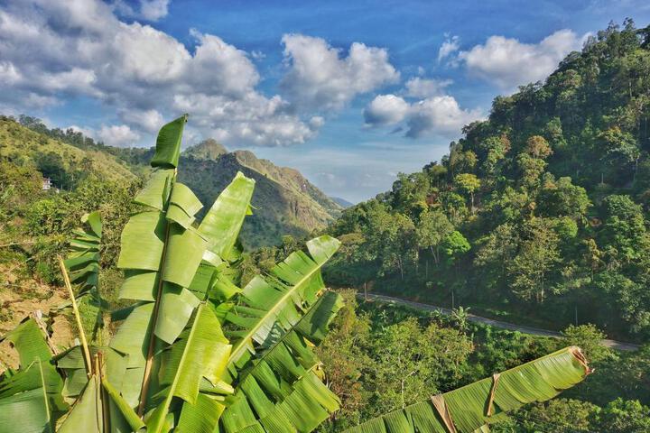 General 1 of 100