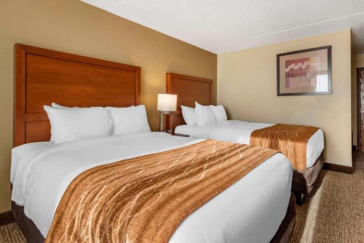 2 Queen Beds (1 of 9)