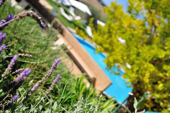 Pool 116 of 161