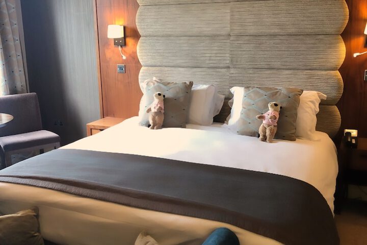 Room 12 of 40