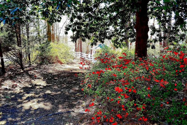 Property Grounds 19 of 23