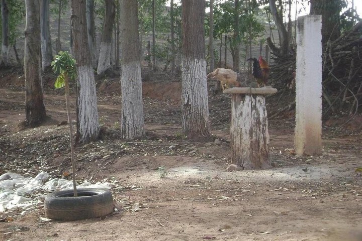 Property grounds