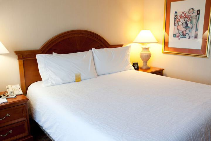 1 King Bed (17 of 20)