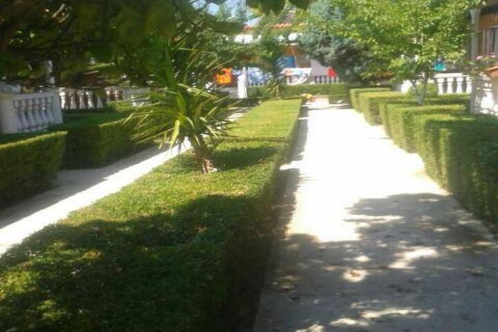 Amarildo Complex