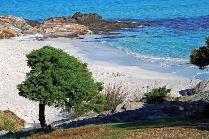 Beach 126 of 161