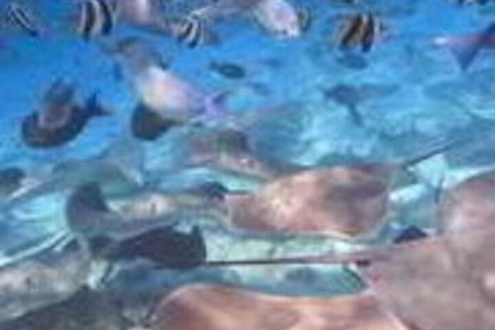 Beach 6 of 27