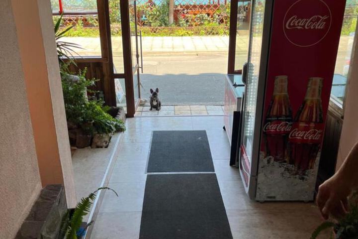 General 54 of 55