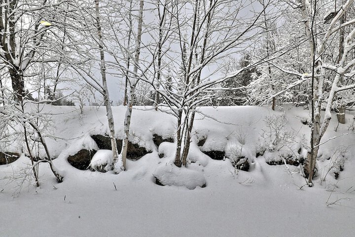 Outdoor Activities 168 of 242