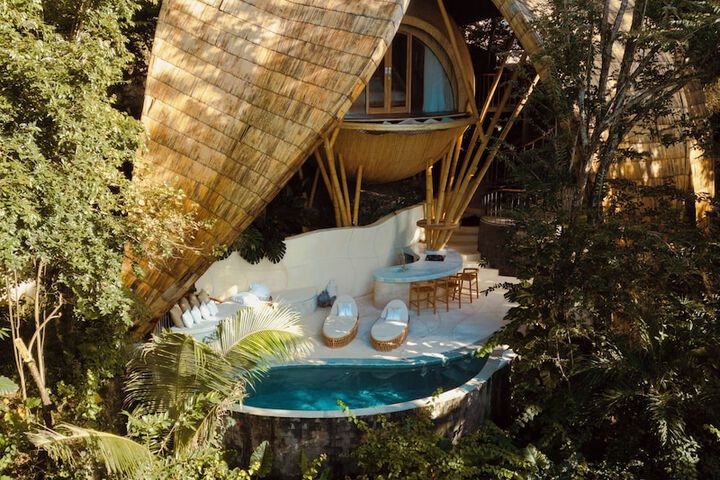 Cocoon Reserve