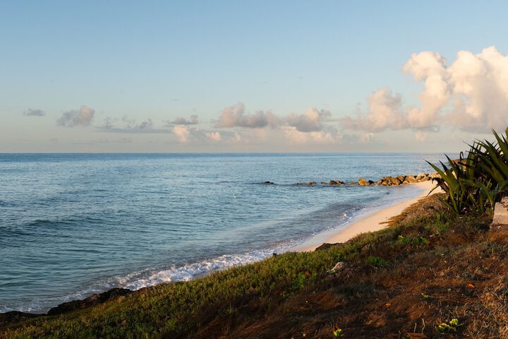 Beach 86 of 101