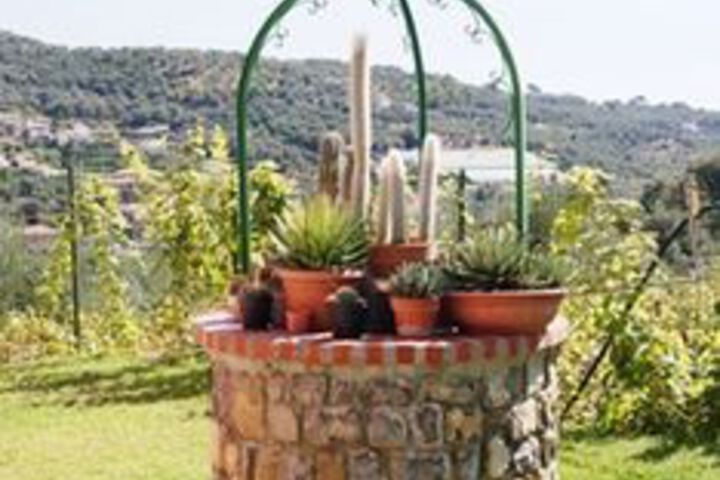 Terrace/Patio 97 of 97