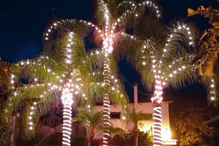 Hotel 182 of 204