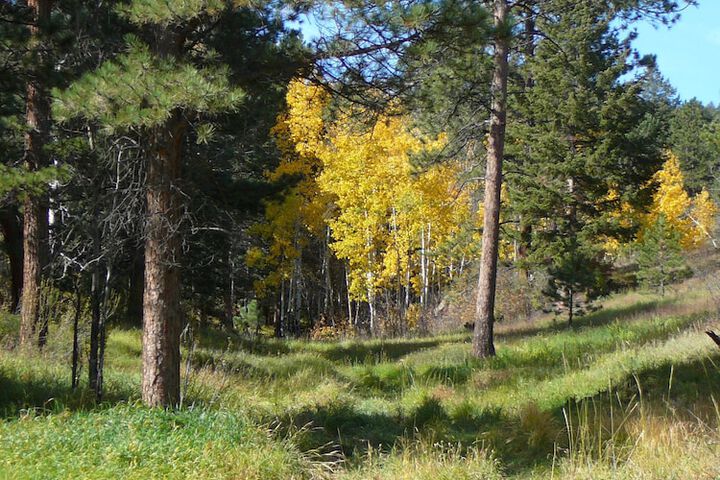 Property Grounds 14 of 17