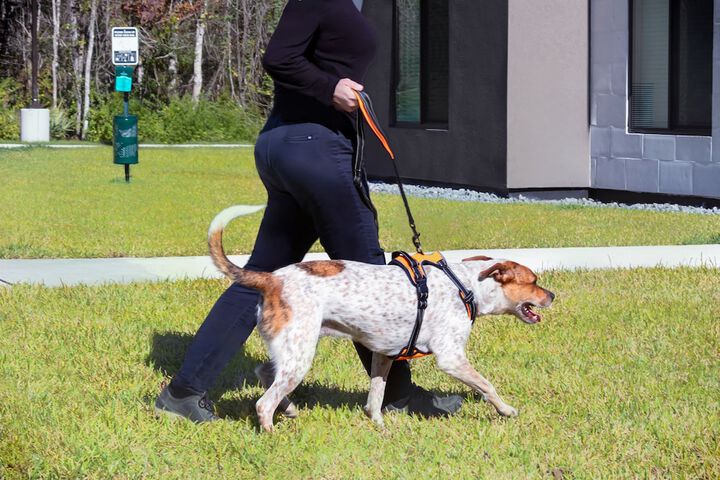 Pet-friendly amenities