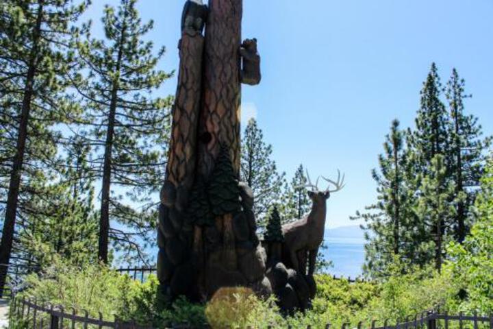Photo 4